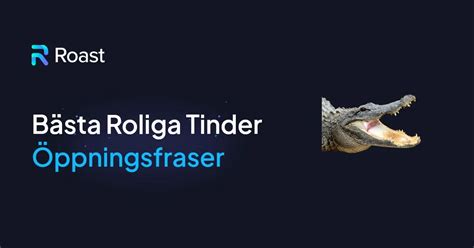 Roliga Tinder Öppningsrepliker för att göra dina。